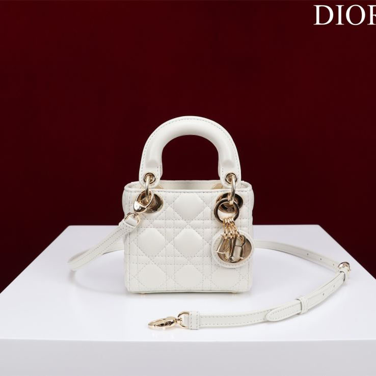 chr1st1an D10r my lady bags